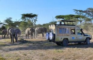 Kenya & Tanzania 12 DAY Safari Tour